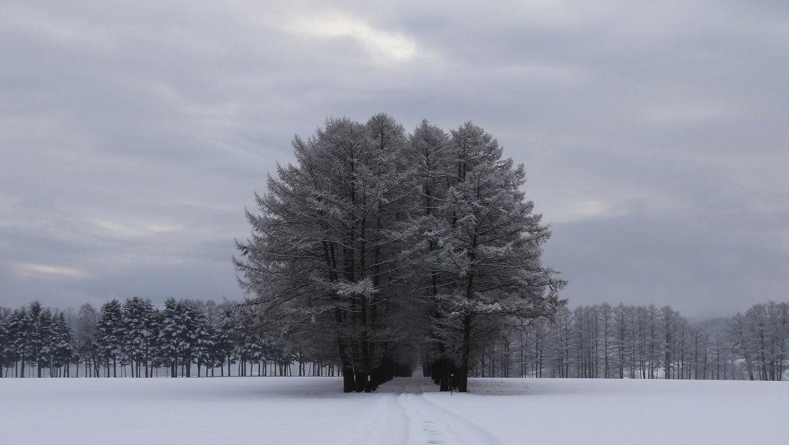 Сегодня в Орле будет хмуро и сыро 