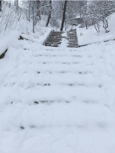Сюрреализмом на ступенях назвали орловчане стиль уборки снега в Городском парке культуры и отдыха