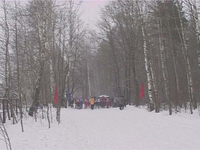 Первенство по лыжным гонкам