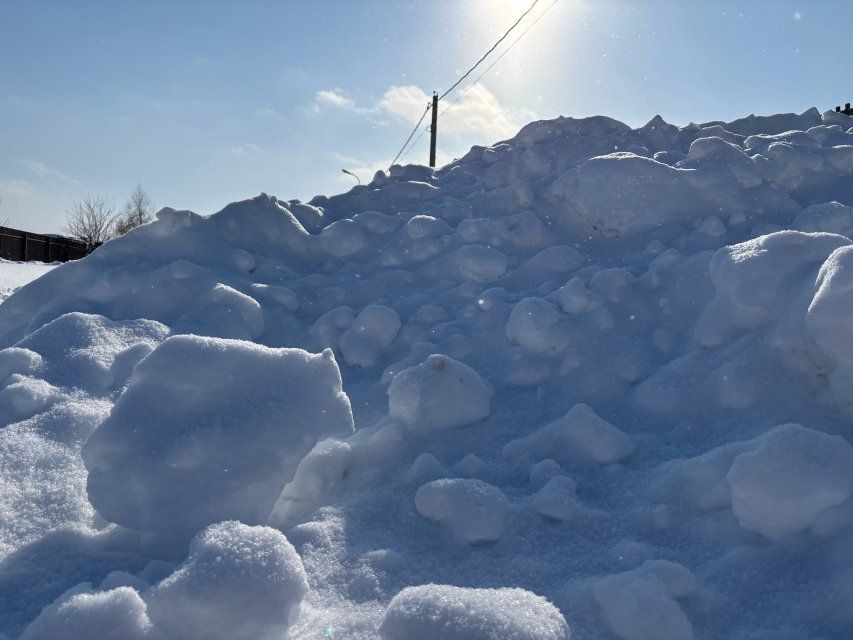 "Крик души" из деревни Ивановское Орловской области