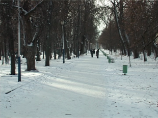 Какая погода ждет орловчан в новогоднюю ночь? 