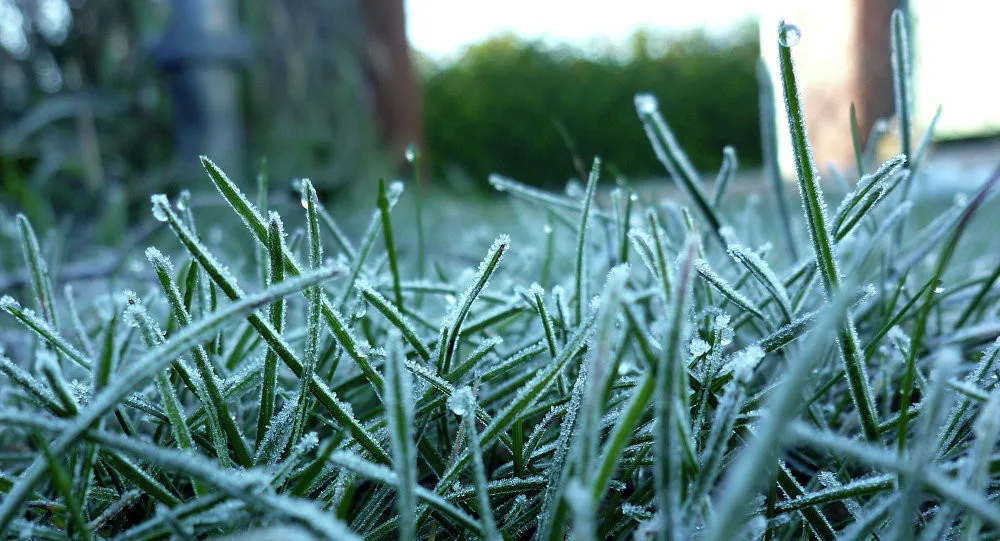 Внимание, заморозки! Орловщину ждет похолодание