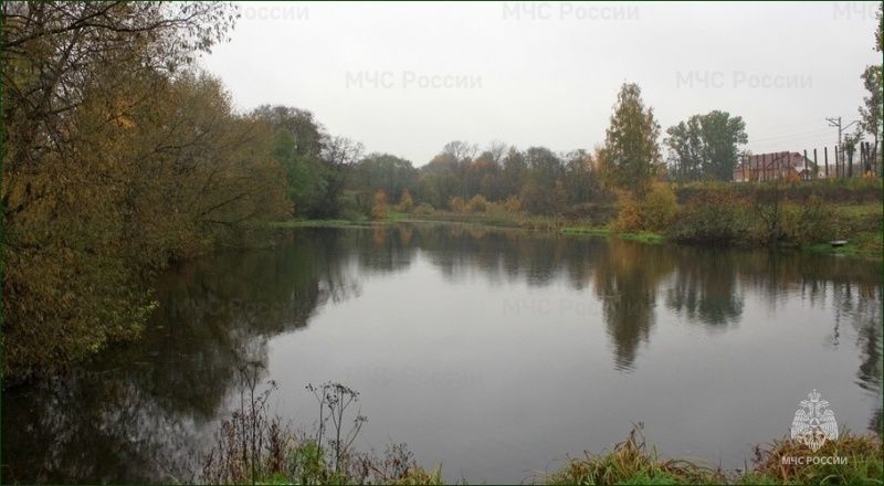 Во Мценском районе погибла пенсионерка, упавшая в пруд