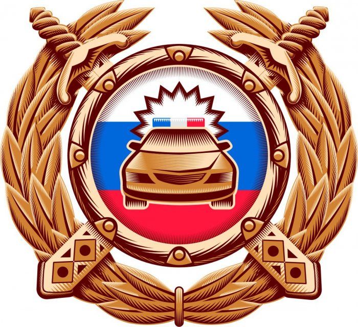 В Ливенском районе женщина-водитель поблагодарила сотрудников Госавтоинспекции за помощь