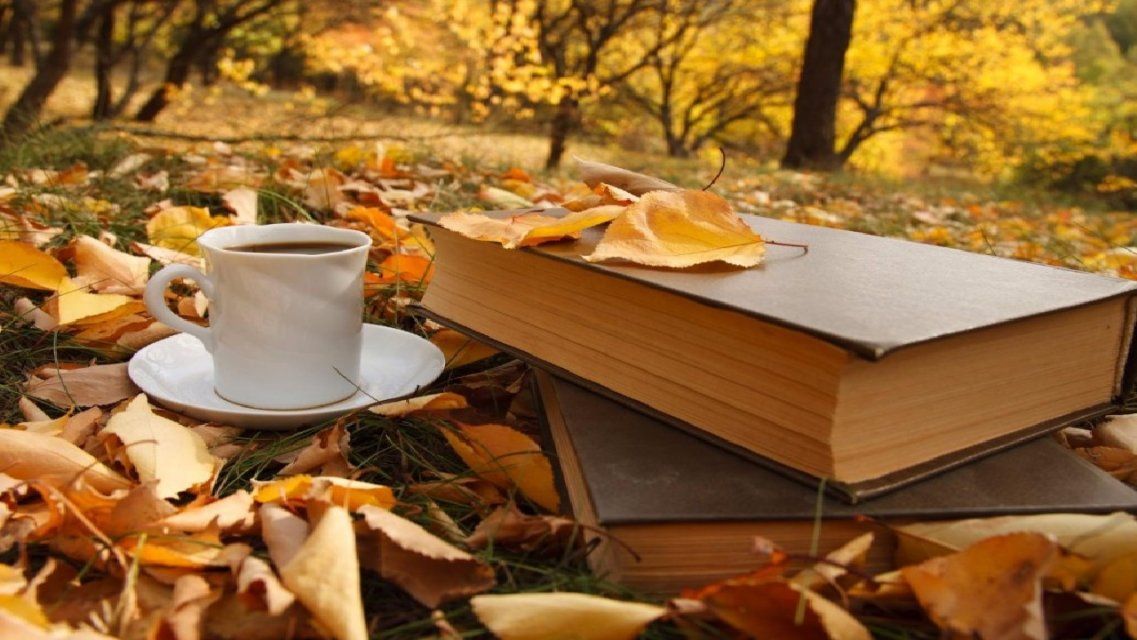 8 октября в Орле вновь будет холодно: когда вернется тепло