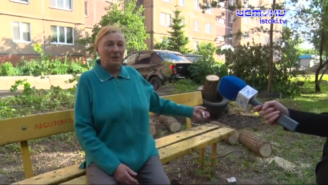 Деревья или парковка: камень преткновения одного двора