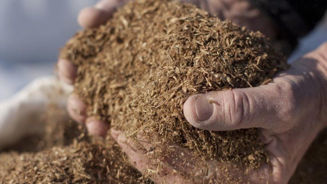 В 2021 году на Орловщине собираются запустить новое производство кормовых добавок