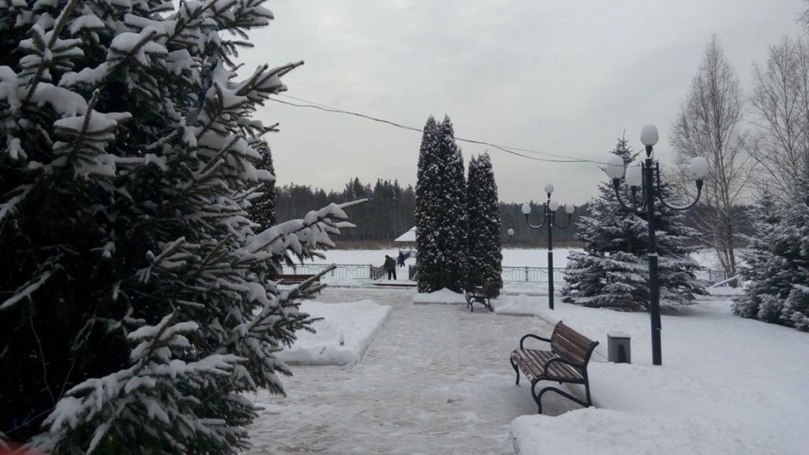 Из-за коронавируса нацпарк «Орловское полесье» ограничил работу 