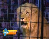 Оперативный эфир 05.11.2018