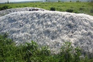 Свалка на поле