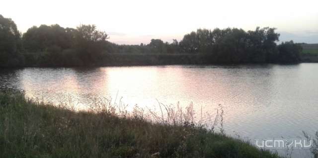 За день в Орловской области на глазах очевидцев утонули двое мужчин
