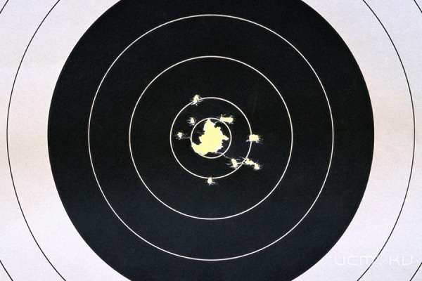 Серебряный выстрел орловских пулевиков