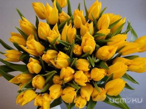 Цветы для любимых!