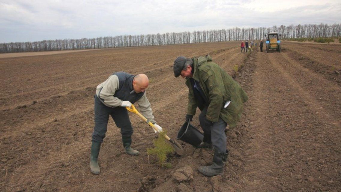 Орловчанам предлагают присоединиться к акции «Сад памяти» дистанционно 