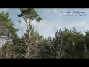 Телеэкскурсия - Природа