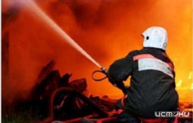  С начала года при пожарах в Орловской области погибли семь человек