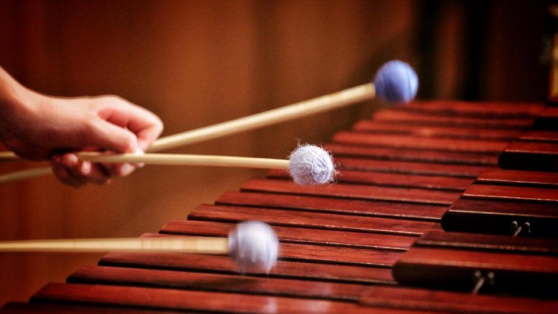 4 ксилофона и 22 духовых инструмента — в орловских музыкальных школах пополнение