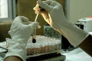 На Орловщине пройдет День памяти людей, умерших от СПИДа