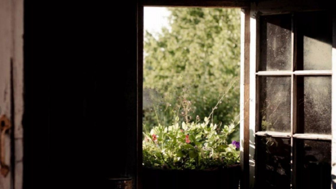 В Орле пенсионерка лишила соседку солнечного света 