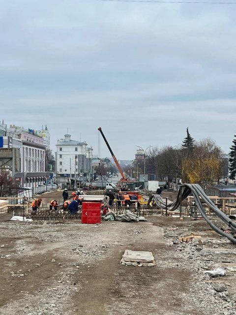 В Орле горсовет осуществил выезд на Красный мост