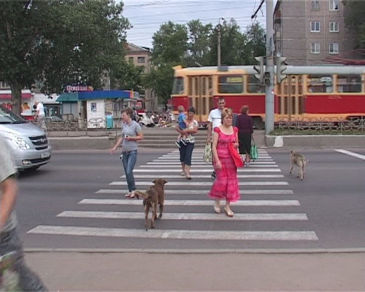 Неработающий светофор в районе остановки «Агрокомбинат»