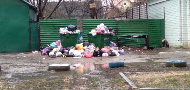 К чему приводит несвоевременный вывоз мусора. Мнение одного орловчанина