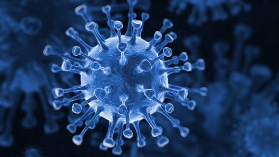 На Орловщине половина умерших пациентов с COVID-19 страдала ожирением