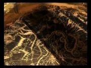 Гороскоп 19 ноября 2013