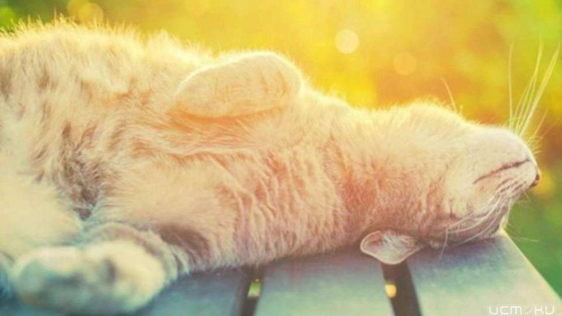 Воскресенье в Орле будет жарким и сухим