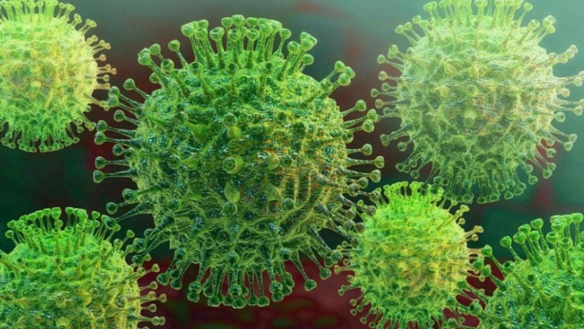 +170: Орловщина обновила суточный рекорд по приросту больных коронавирусом