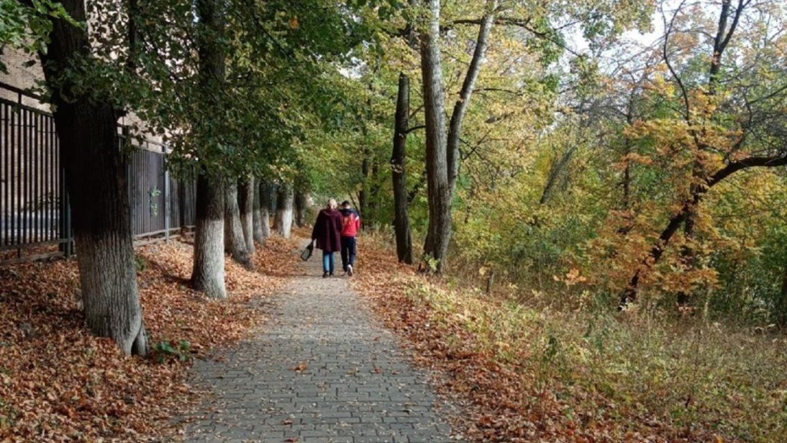 Сегодня орловчан ждет последний осенний теплый денек