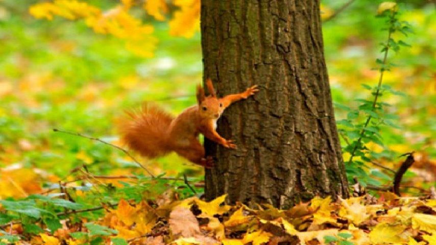 Один день радости: 3 октября в Орле воздух прогреется до +20 °C 