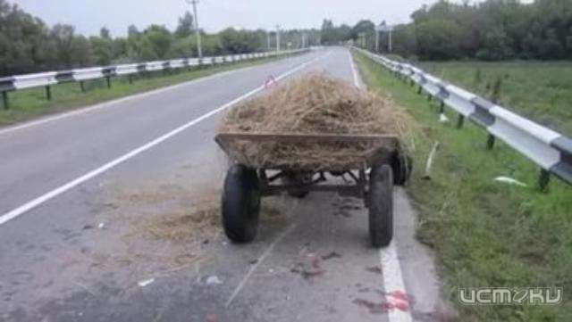 В Дмитровском районе в ДТП с телегой пострадали три человека
