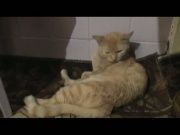 21 Век - Королева снеговиков