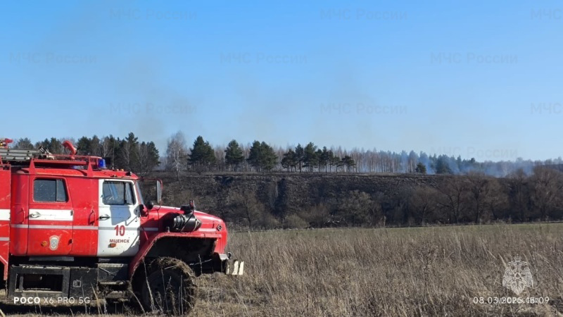 75 пожаров с начала марта в Орловской области 