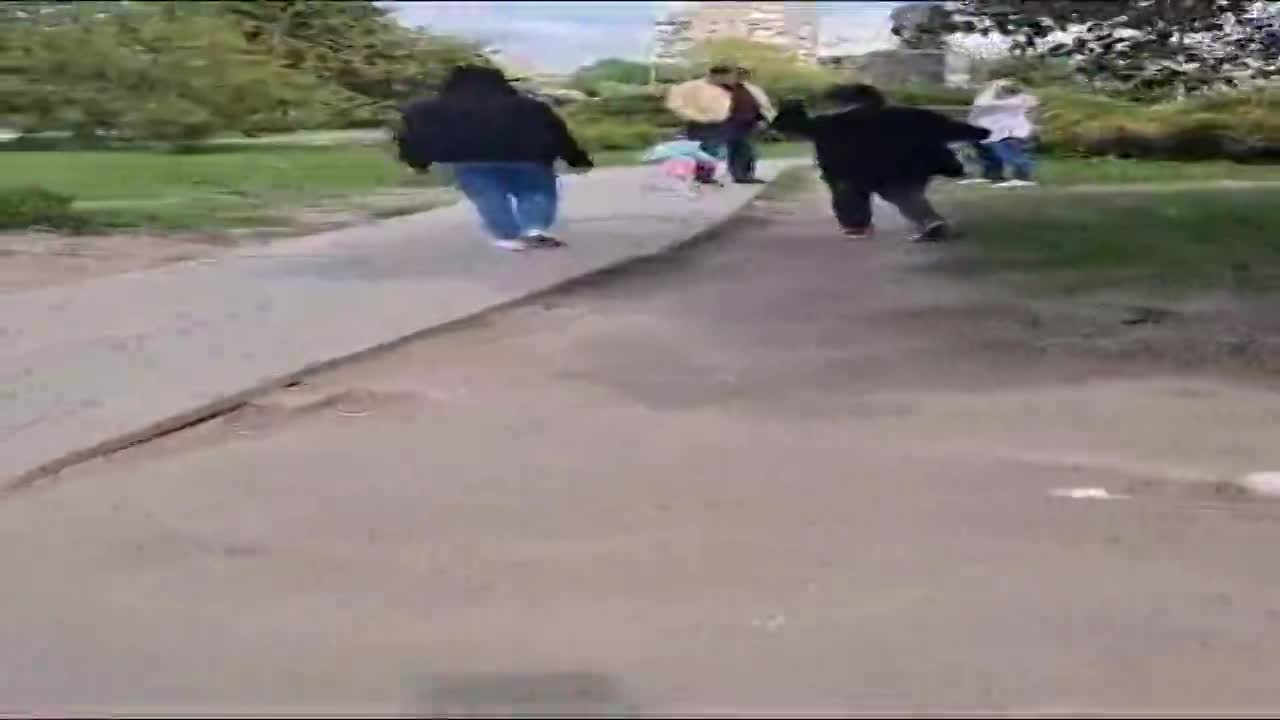 В Орле на поляне у памятника Ивану Грозному, в историческом центре города, планируют спилить все деревья сирени