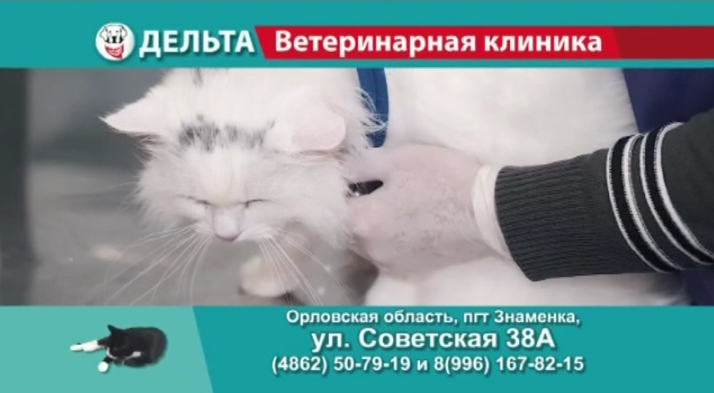 Ветеринарная клиника «Дельта» - залог здоровья ваших питомцев