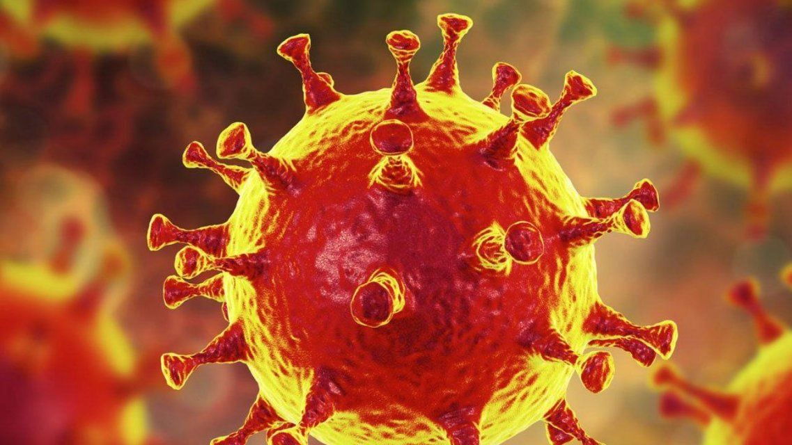 На Орловщине число заболевших коронавирусом достигло 85