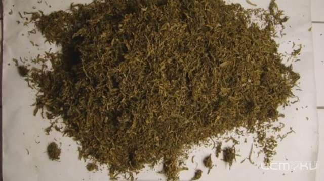 Орловские полицейские нашли у хулигана наркотики