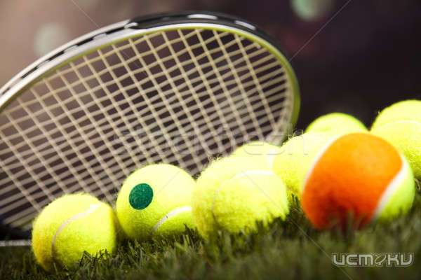 Болховские чиновники «забыли» зарегистрировать стадион «Олимпия»