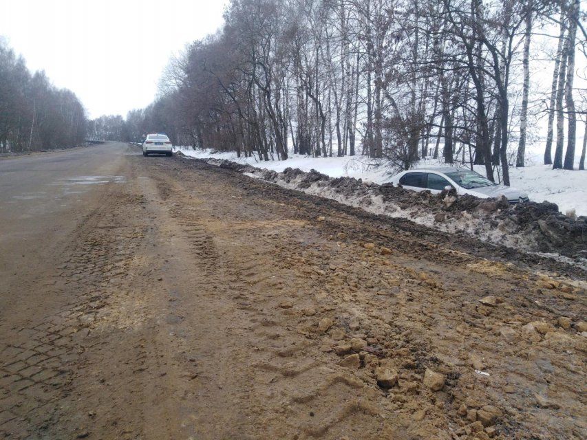 На Орловщине «Рено Логан» улетел в кювет