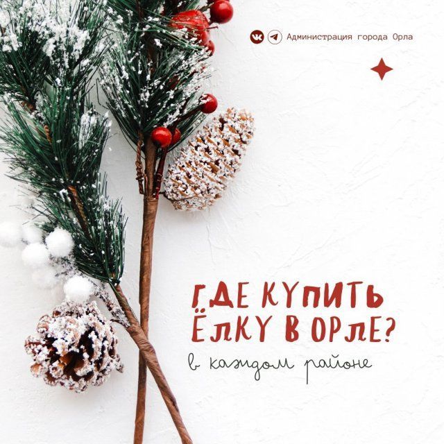 Ёлочные базары заработают во всех районах Орла 