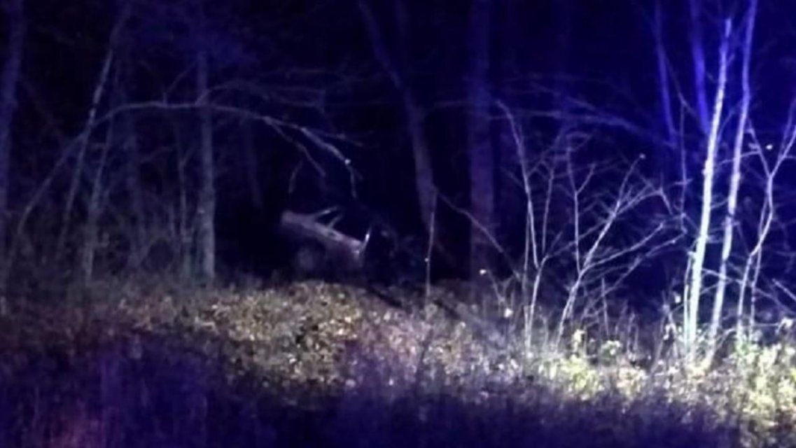 В Орловской области водитель «девятки» погиб, съехав с трассы в кювет