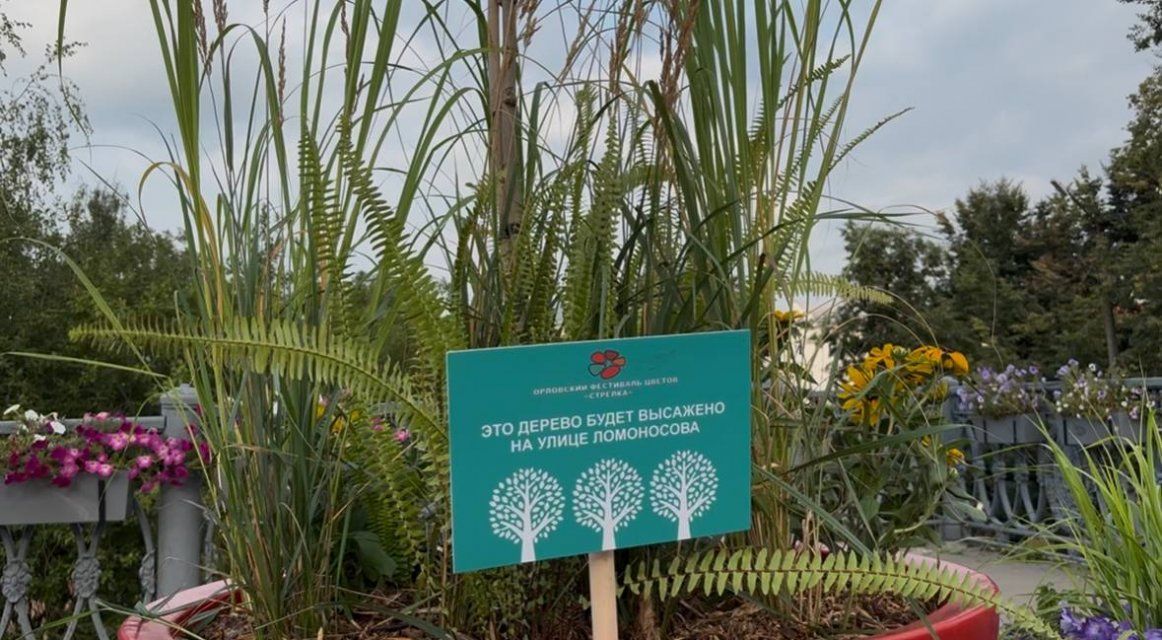 Сегодня в Орле продолжатся 2 фестиваля: цветочный и гастрономический