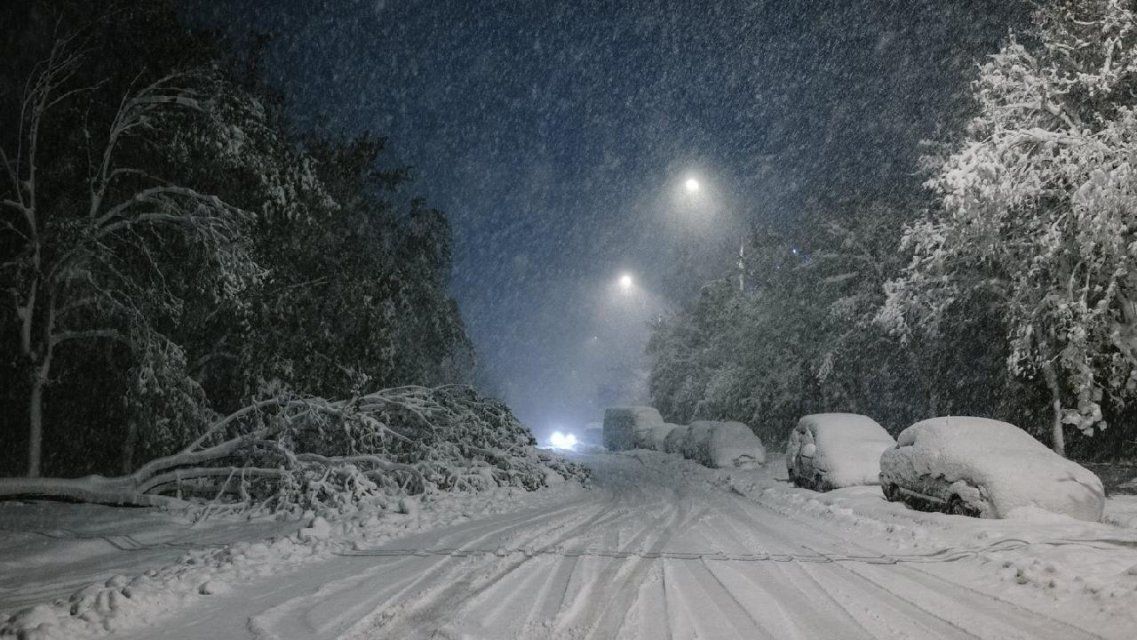 Водителей просят быть осторожнее: на Орловщину надвигается мощный снегопад