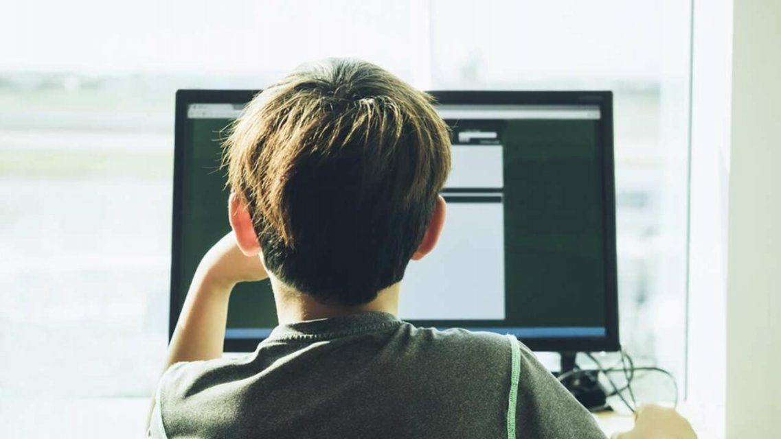 Дистанционно на Орловщине обучаются 809 школьников