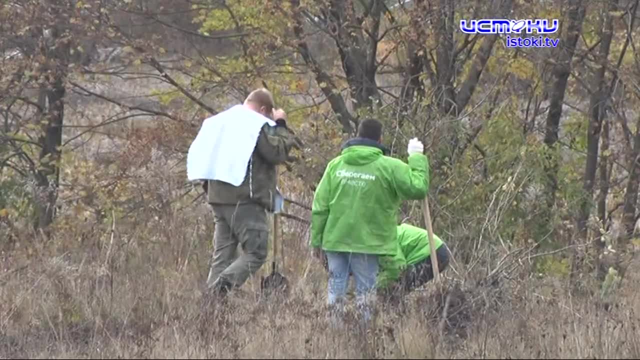 Орловская область присоединилась к Всероссийской экологической акции «Посади лес». 12 тысяч сосен были высажены в деревне Образцово