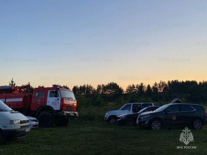 Орловские спасатели рассказали о поисках пятилетней малышки