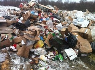 ОНФ будет искать незаконные свалки в Орловской области