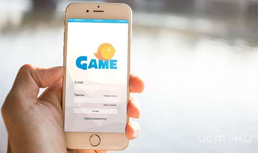 Экспертный отзыв о UDS Game